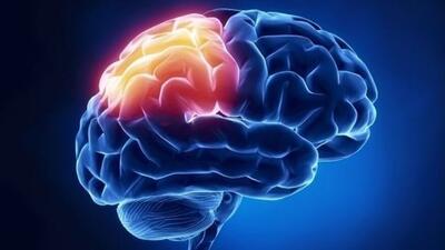 یک داروی موثر در درمان سرطان مغز | اقتصاد24