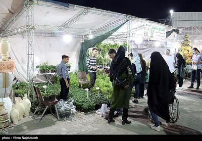 برپایی نمایشگاه گل و گیاه در بابل - تسنیم