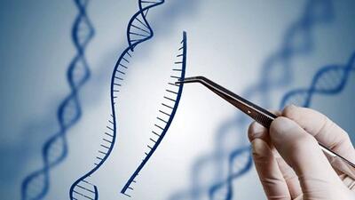 از اهمیت مشاوره ژنتیکی غافل نشوید!