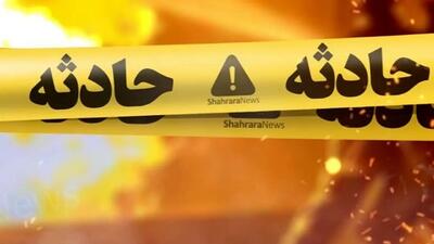 آتش‌سوزی گسترده در شهرک صنعتی یزد/ عکس