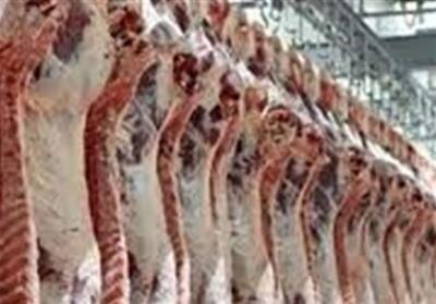 تولید سالانه 20 هزار تن گوشت توسط دامداران ورامینی - تسنیم