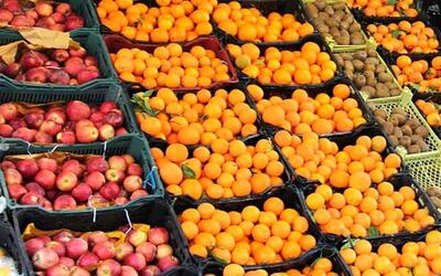 برنامه دولت برای قیمت میوه شب عید | اقتصاد24