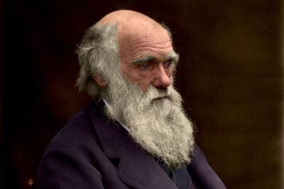 ۵ واقعیت دربارۀ «داروین»؛ مردی که انگار داشت به قتل اعتراف می‌کرد