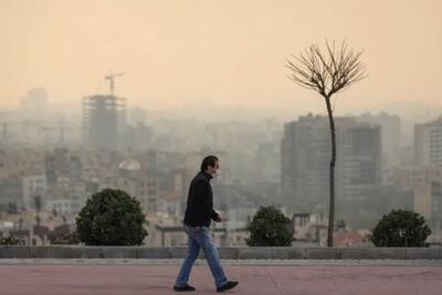 رفیعی: حل مشکل آلودگی هوا مهمترین مطالبه تهرانی‌هاست
