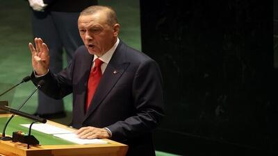 اردوغان خواستار افشای اقدامات جنایتکارانه اسرائیل شد