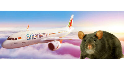 یک فرودگاه بین المللی درگیر یک موش شد!