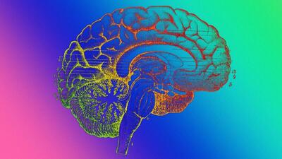 زمان طلایی درمان بیماران سکته مغزی