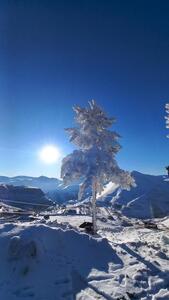 یخبندان سیبریایی در آذربایجان شرقی