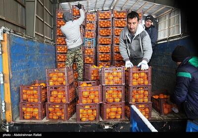 خریداری و ذخیره 375 تن میوه شب عید نوروز در استان ایلام - تسنیم