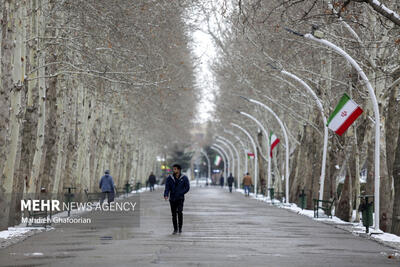 تصاویر: برف و کولاک در مشهد
