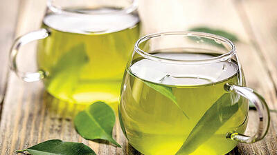 عوارض چای سبز چیست؟ / راهکارهای پیشگیری از عوارض چای سبز