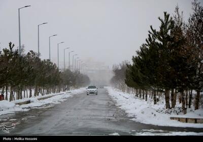 بارش برف کردستان را سفیدپوش کرد + فیلم - تسنیم