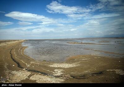 آب رودخانه کردان به تالاب صالحیه رسید - تسنیم