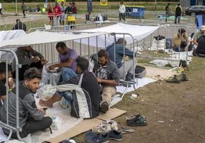 افزایش چشمگیر حملات به پناهندگان در آلمان - تسنیم