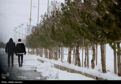 صدور هشدار هواشناسی نارنجی در کرمان؛ بارش باران و برف و وزش تند بادهای لحظه‌ای - تسنیم