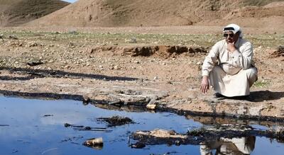 فیلم| نشت نفت زمین‌های کشاورزی در عراق را نابود کرد