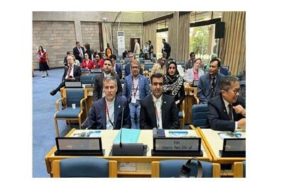 قطعنامه اجلاس تهران روی میز مجمع محیط زیست سازمان ملل در نایروبی