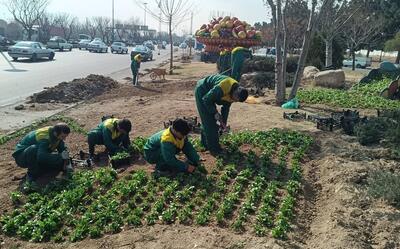 کاشت بیش از هزار و ۶۰۰ اصله درخت در فضای سبز منطقه ۱۹ تهران