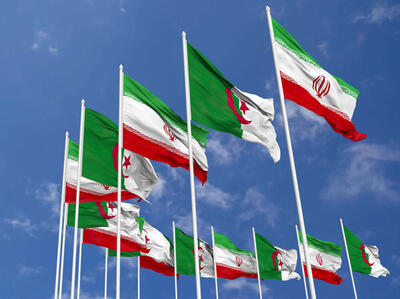 الجزایر دروازه ورود ایران به شمال آفریقا