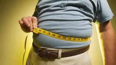 تاثیر ژنتیک بر چاقی چیست؟ | رویداد24