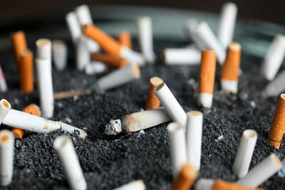 شناسایی یک عارضه جدید سیگار ؛به جز قلب و ریه این بخش از بدن را کوچک می کند