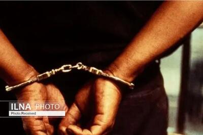 دستگیری ۱۲ نفر از اعضای شرکت هرمی