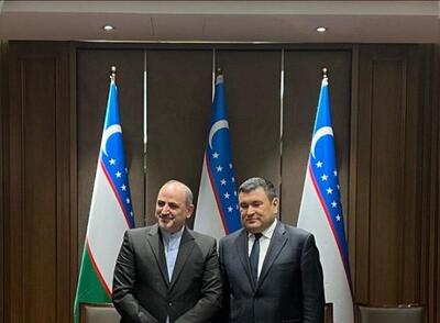 بررسی تقویت مناسبات اقتصادی در دیدار سفیر ایران با وزیر انرژی ازبکستان