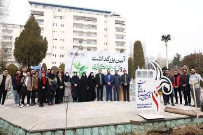 آیین نکوداشت روز درخت‌کاری در دانشگاه علوم پزشکی شهیدبهشتی برگزار شد
