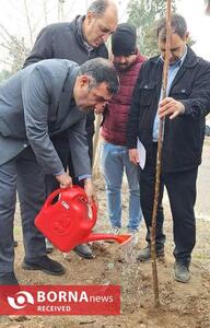حضور فعال جامعه ورزش و جوانان استان تهران در طرح ملی و مردمی کاشت یک میلیارد درخت