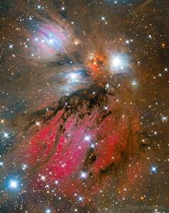 تصویر روز ناسا: NGC 2170، هنر انتزاعی سحابی فرشته