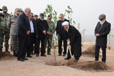 رییس دستگاه قضایی در کمربند سبز تهران درخت کاشت
