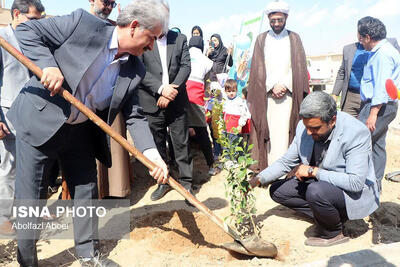 امام جمعه مهریز: درختکاری یک سرمایه‌گذاری ماندگار است