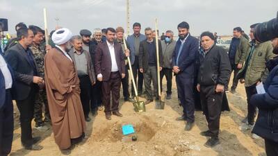 کاشت درخت در ۱۰۰ هکتار از اراضی شهرستان ورامین