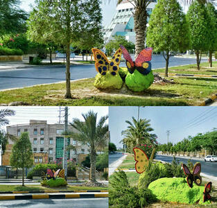 طرح‌های زیباسازی در شهرهای استان بوشهر اجرا می‌شود