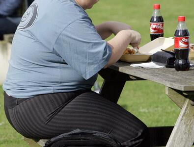 افزایش چشمگیر نرخ چاقی در نقاط مختلف جهان