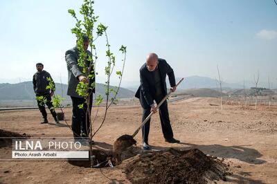 به مناسبت روز درختکاری ۲۰۰۰ هکتار از کمربند سبز تهران به بهره برداری رسید