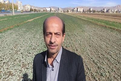 اجرای طرح تولید جهش دیمزارها در ۶۰ هزار هکتار از اراضی استان