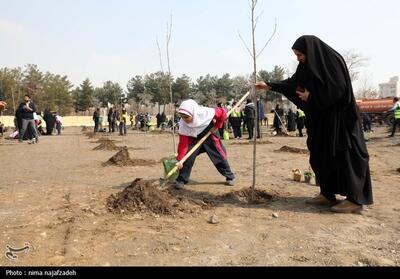 برگزاری مراسم درختکاری در بوستان جهانشهر-مشهد- عکس خبری تسنیم | Tasnim