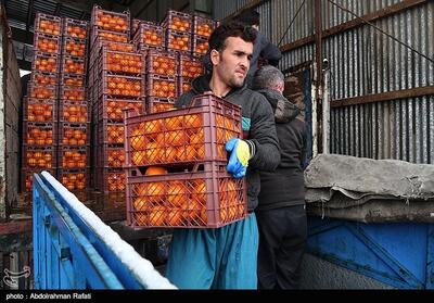 تامین هزار تن میوه برای طرح تنظیم بازار فارس - تسنیم