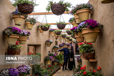 نصب ۲۵۰۰ گلدان بزرگ شهری در مشهد