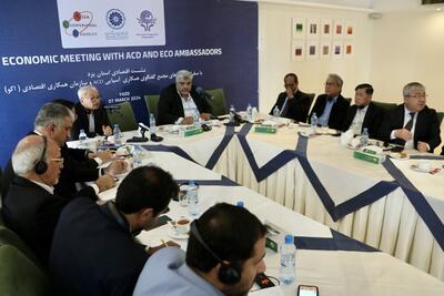 نشست فعالان اقتصادی یزد با سفرا و نمایندگان «ACD» و «ECO» برگزار شد