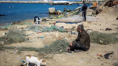 ماهیگیران فلسطینی به دنبال روزی خود در دریا در سایه حملات اسرائیل+تصاویر | خبرگزاری بین المللی شفقنا
