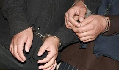 ۲۰ مدیر و کارمند در یکی از شهرستان های تهران به اتهام فساد مالی دستگیر شدند