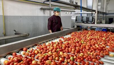 نگاهی به کارخانه رب گوجه فرنگی در افغانستان (فیلم)