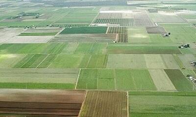 صدور ۶۴ هزار سند تک‌ برگی زمین‌های کشاورزی در آذربایجان‌ غربی