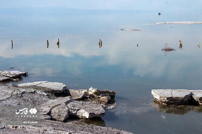 (تصاویر) به امید زندگی دوباره در دریاچه ارومیه