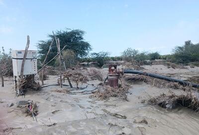 بخش کشاورزی سیستان و بلوچستان در تخصیص اعتبارات سیلاب به طور ویژه دیده خواهد شد