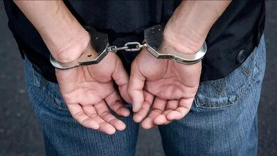 دستگیری ۳۸ نفر از سرشبکه‌های شرکت‌های هرمی