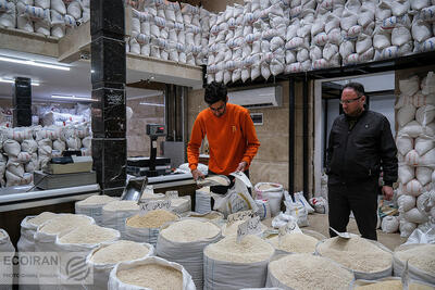 اعلام قیمت انواع برنج در بازار