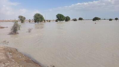 نماینده مجلس: دو میلیارد مترمکعب آب بارش‌های اخیر سیستان وبلوچستان به دریا ریخت و هدر رفت